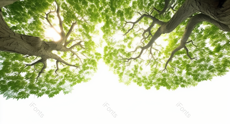 简约摄影春天树叶绿色广告背景,高清,摄影图,摄影图片,图片大全,摄影图免费下载